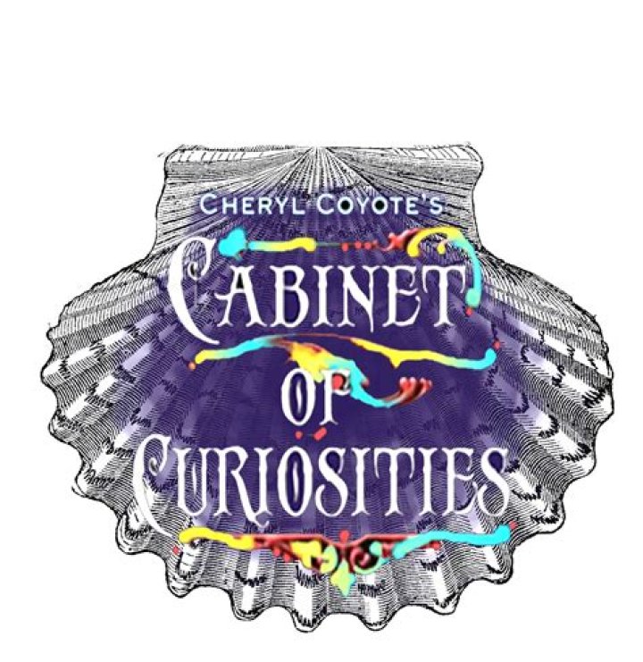 Cheryl Coyote იუთუბის მიმოხილვა