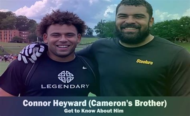 How long has Cameron Heyward been in the NFL? What nationality is Cameron Heyward?