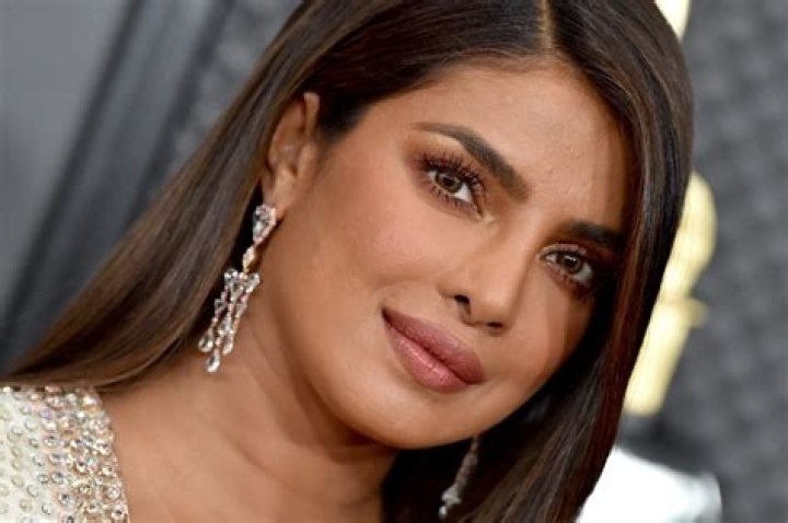 Priyanka Chopra Shares Bikini Selfie With Nick Jonas — Celebwell